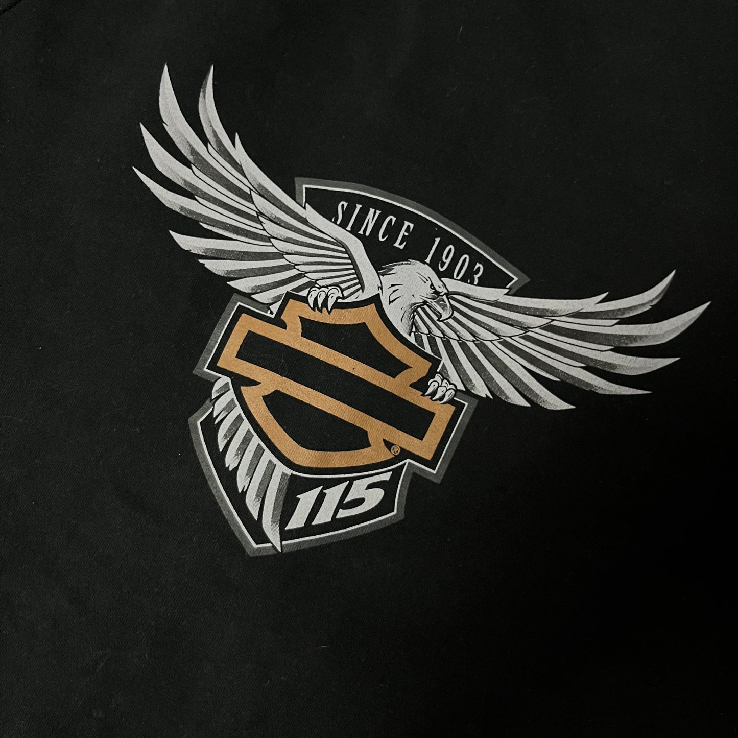 Harley Davidson "115 Years Eagle" Y2K Graphic Zip-Up Hoodie (Дамско)