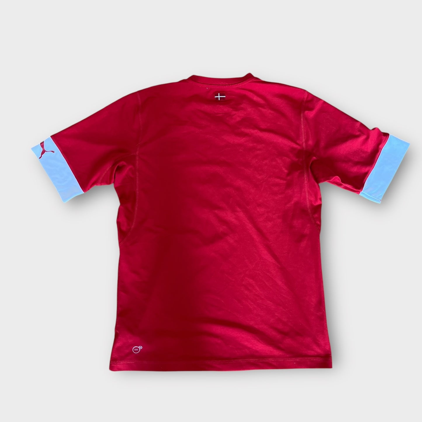 Puma Denmark DHF Football Jersey T-Shirt