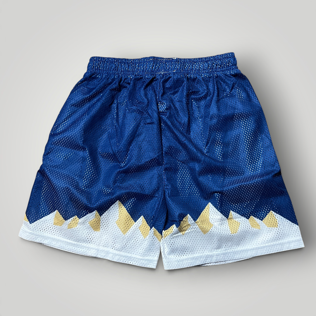 Eric Emanuel Navy Summit Shorts (Replica)