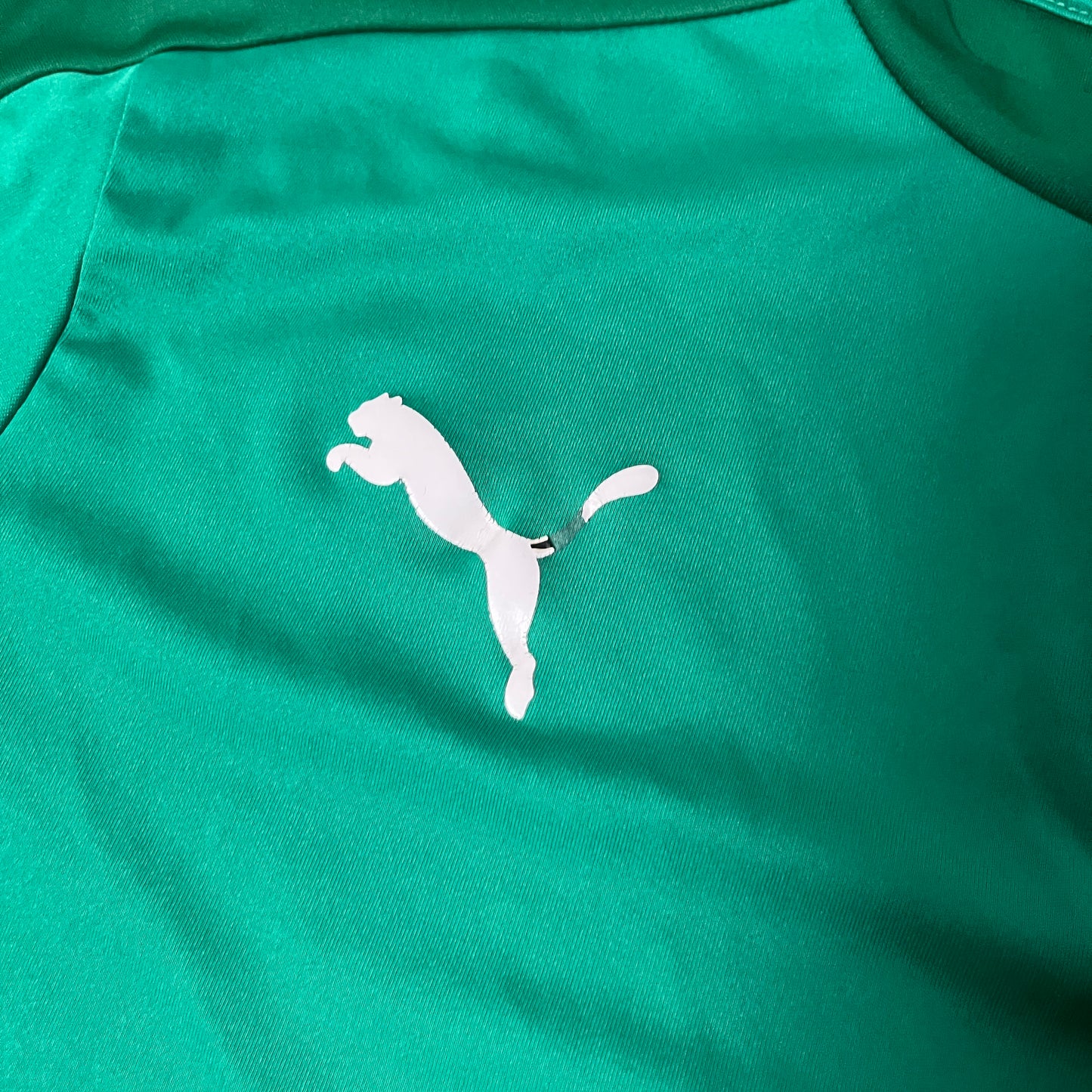 Puma Plymouth Argyle Football Jersey T-Shirt