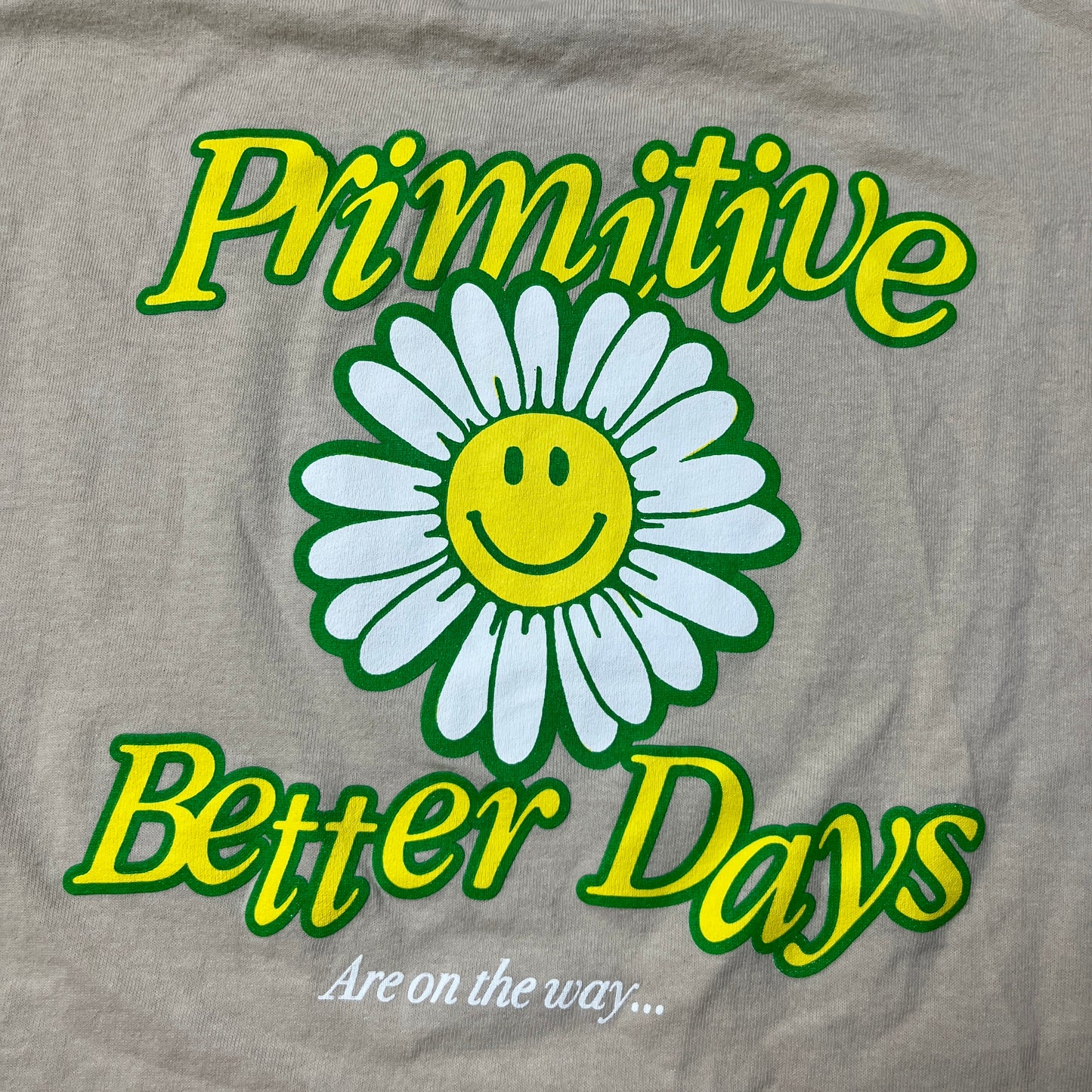 Primitive "Better Days" Skater Graphic Heavy Cotton T-Shirt