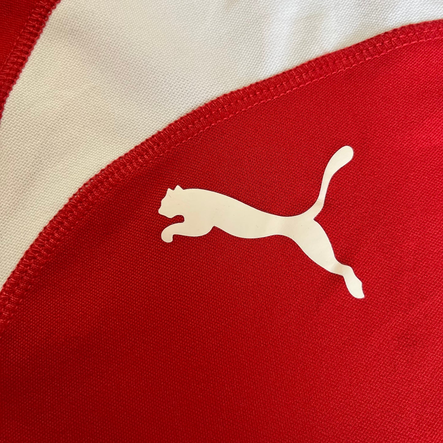 Puma Denmark DHF Football Jersey T-Shirt