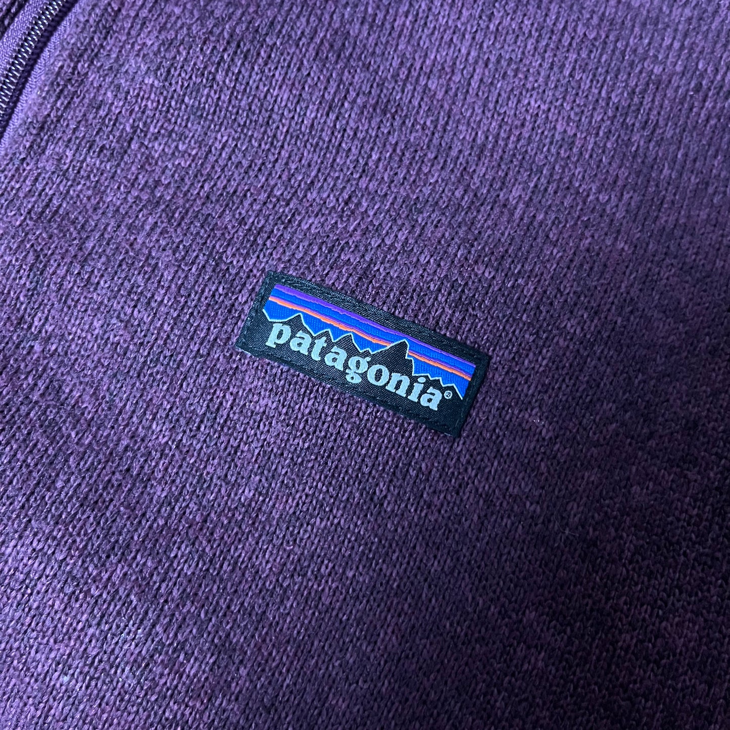 Patagonia "Worn Wear" Winter Zip-Up Polar Fleece (Дамско)