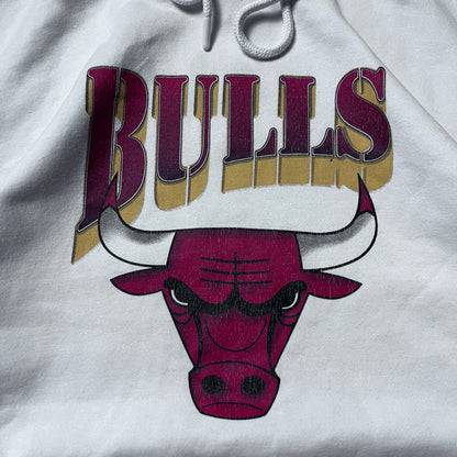 NBA Chicago Bulls Y2K Graphic Hoodie