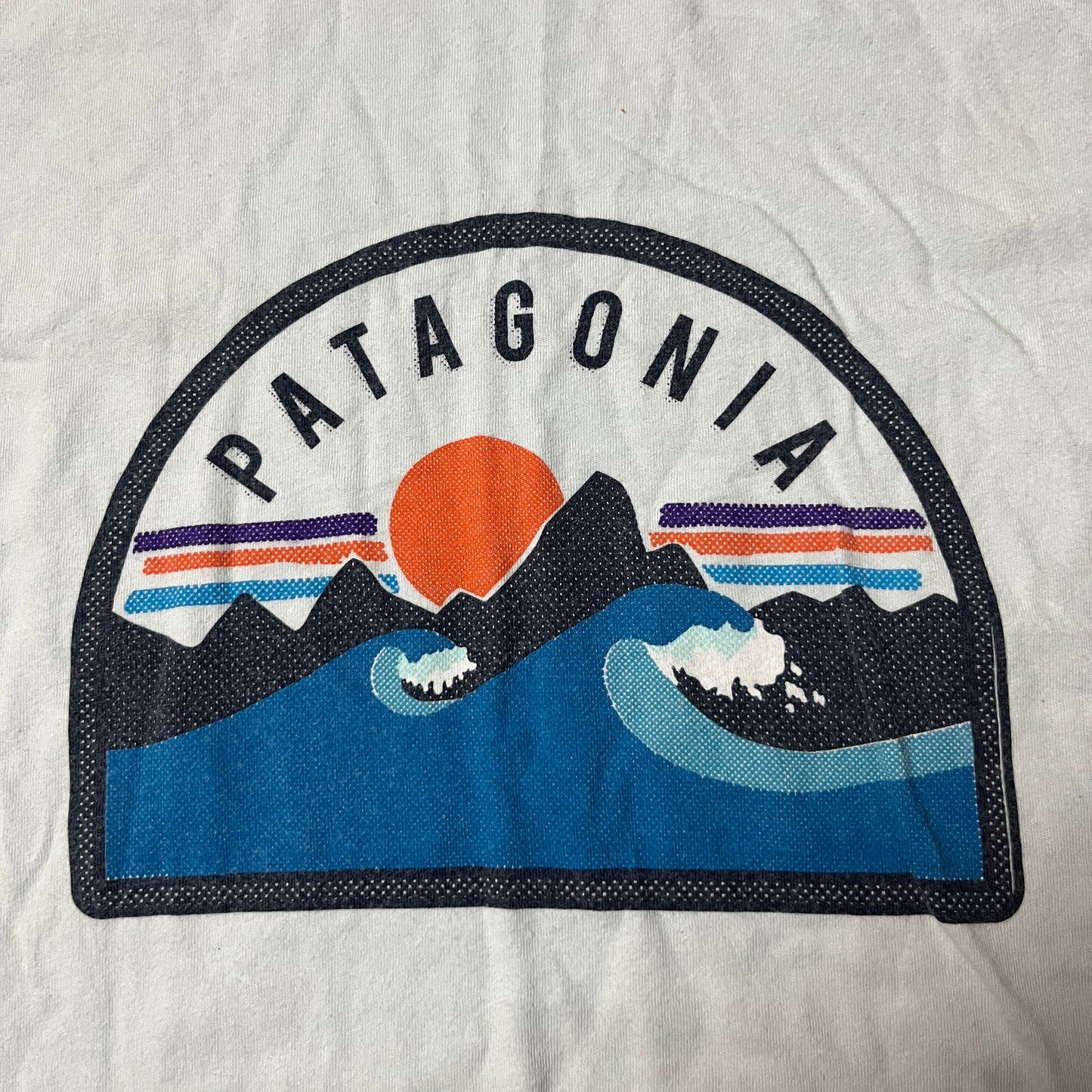Patagonia Graphic T-Shirt