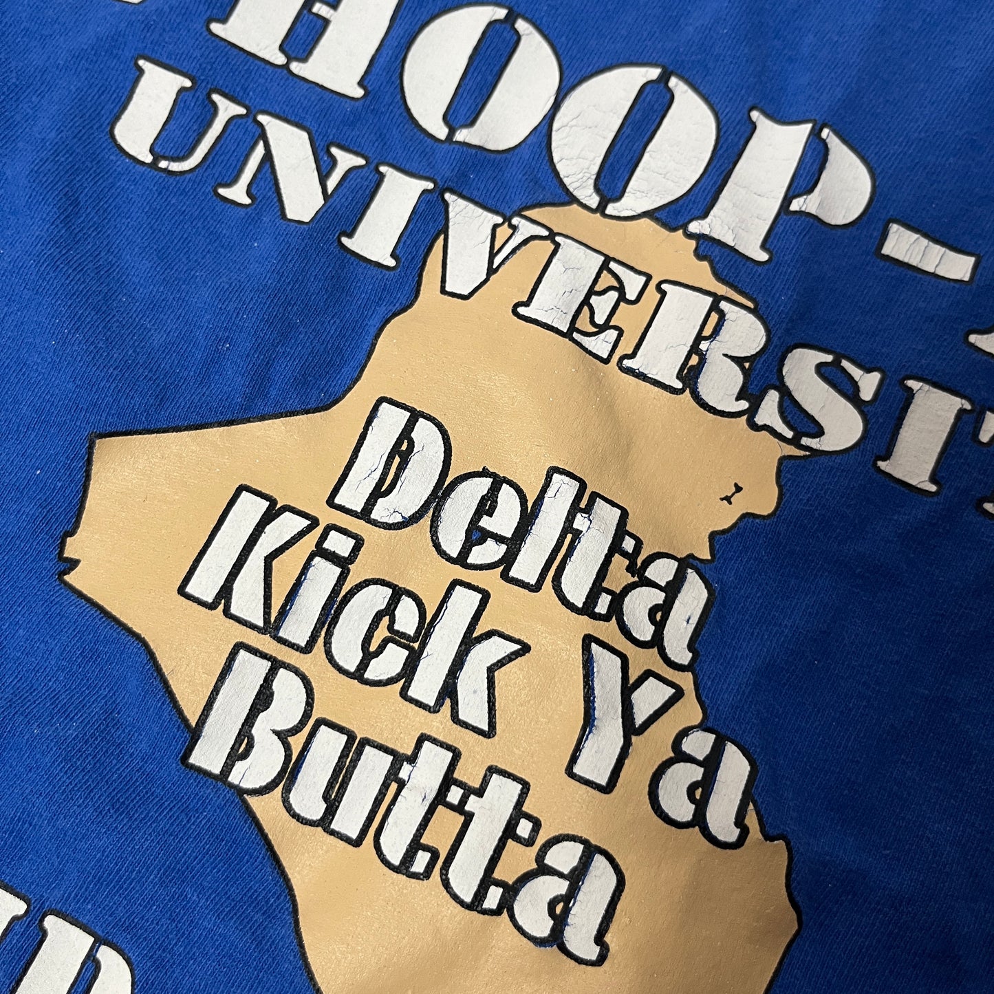 Whoop Ass University Heavy Cotton Graphic Funny T-Shirt