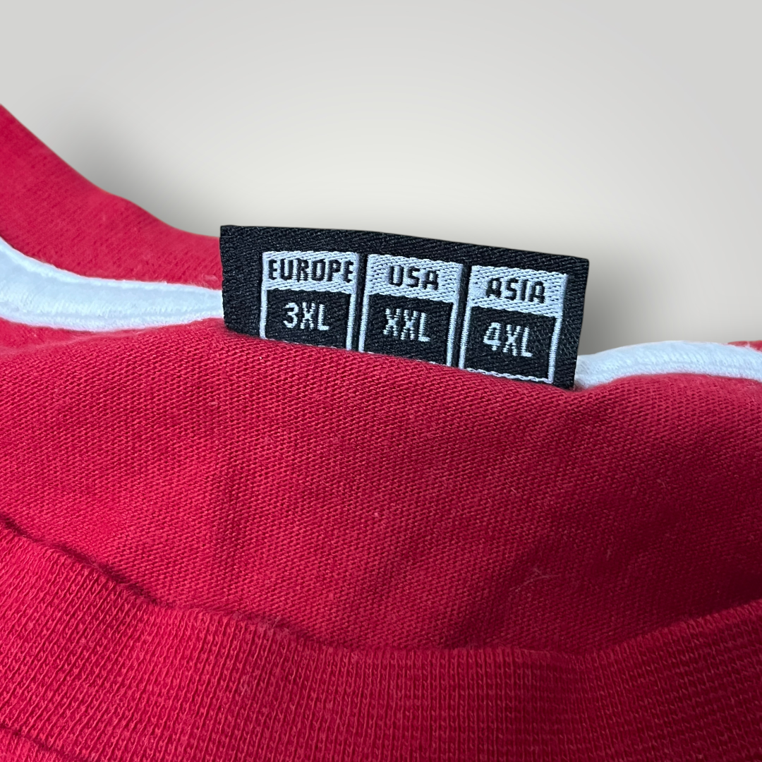 Hummel Denmark 2021/2022 Traning Long Sleeve Football Jersey Shirt