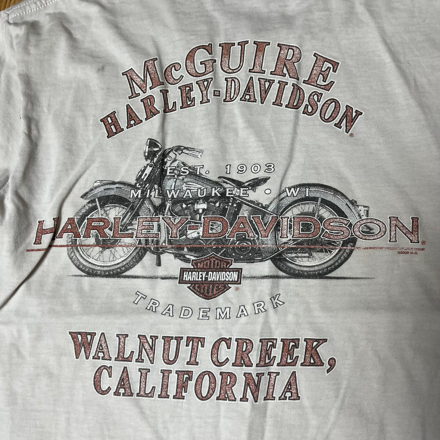 Harley Davidson Vintage Y2K Graphic T-Shirt