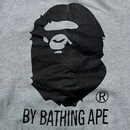 BAPE (A Bathing Ape) x Champion 2010's "Chenille C Logo" Hoodie (Rep)