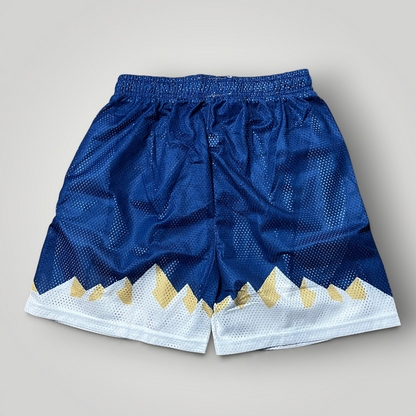 Eric Emanuel Navy Summit Shorts (Replica)
