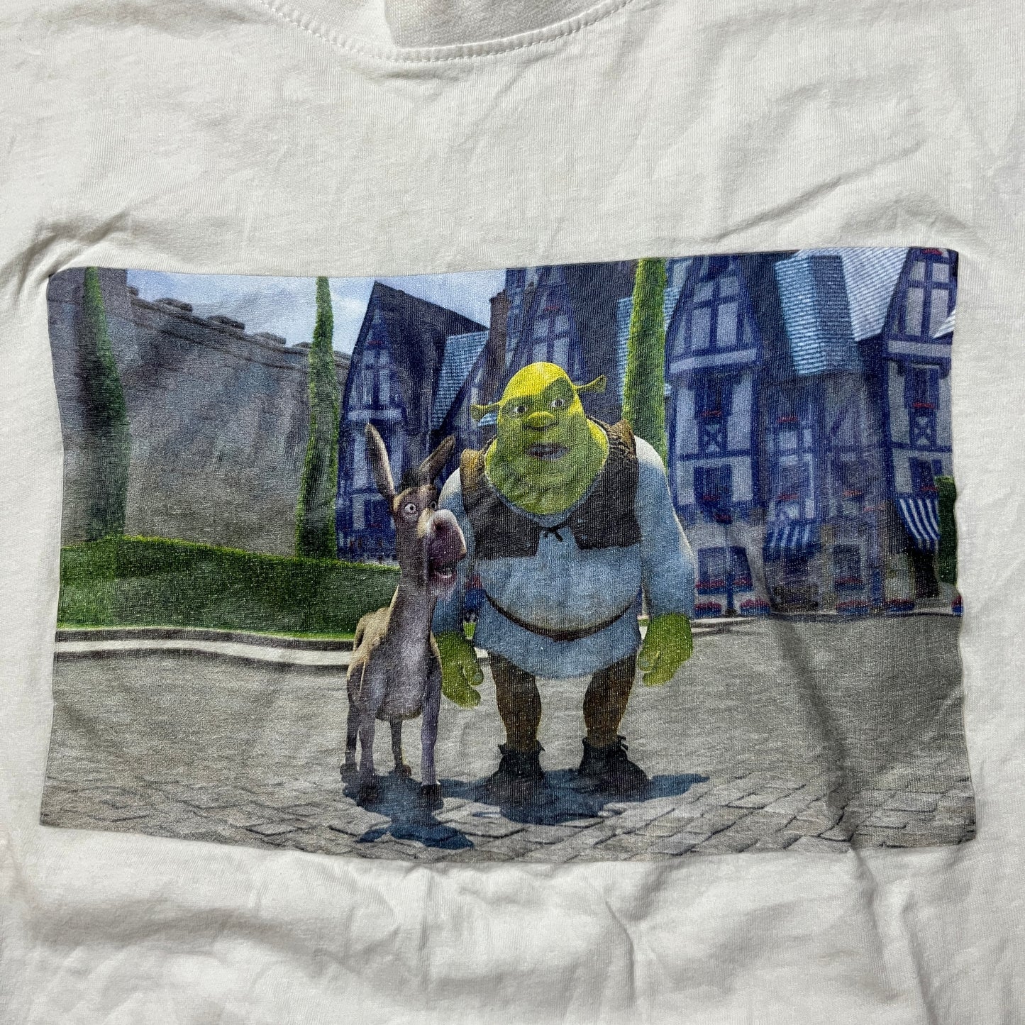 Dreamworks Shrek Graphic T-Shirt
