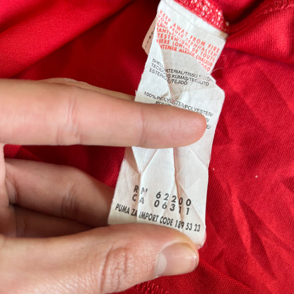 Puma Denmark DHF Football Jersey T-Shirt