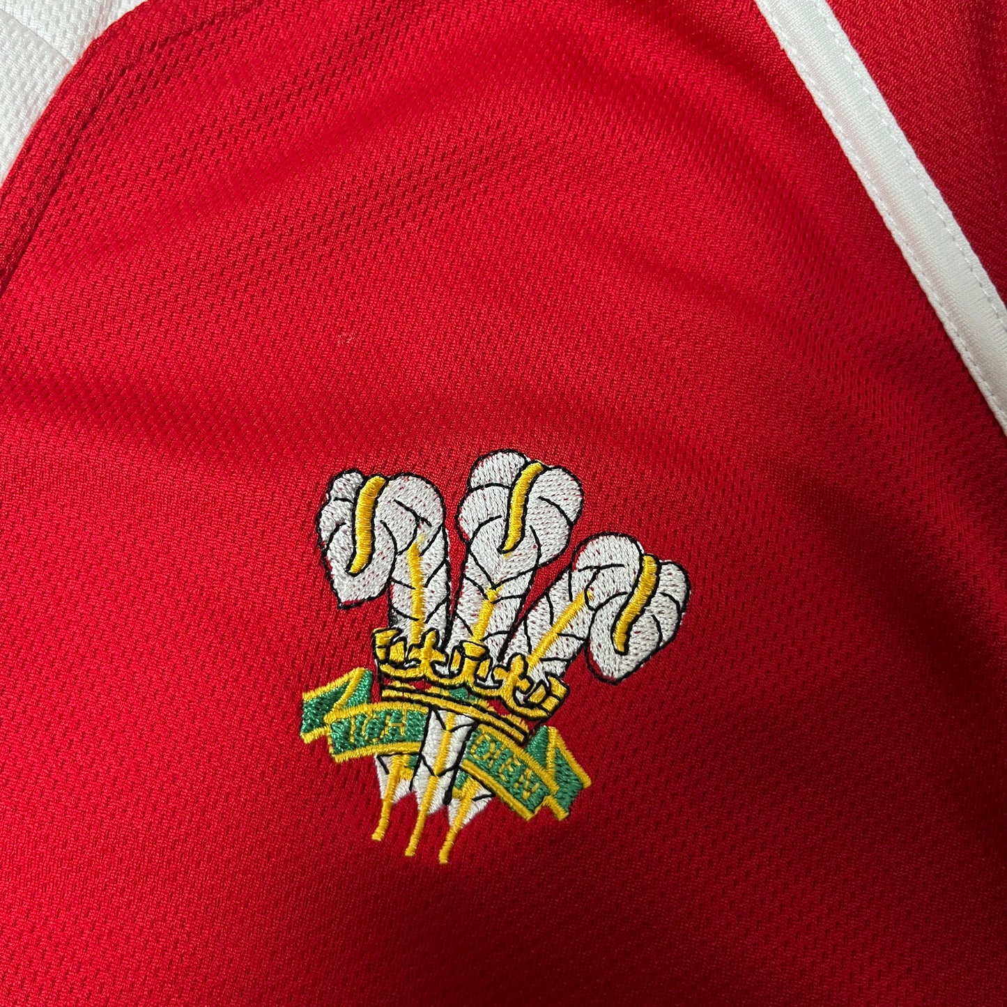WRU Wales MANAV Rugby Jersey T-Shirt