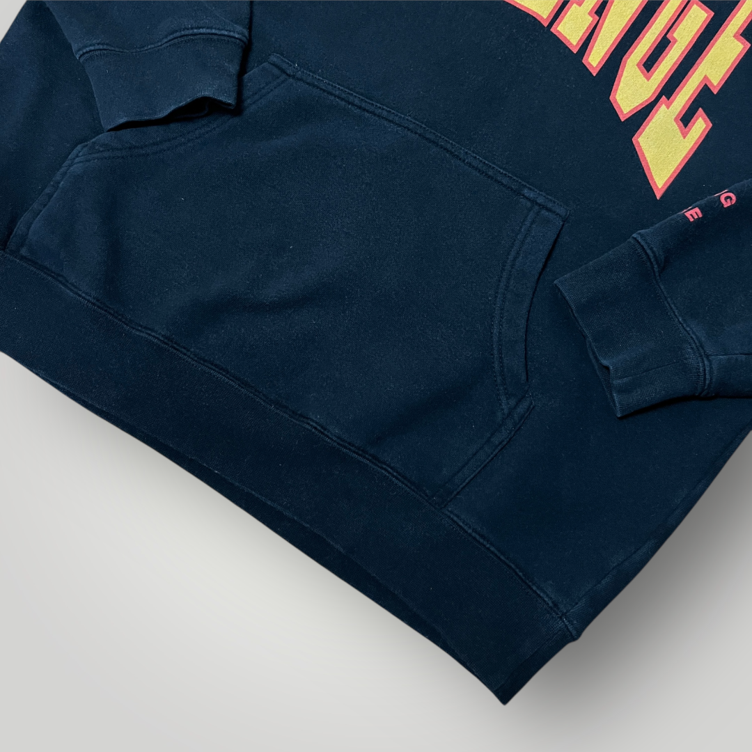 Revenge Drake 2016 Merch "Summer Sixteen" Tour Heavy Cotton Hoodie