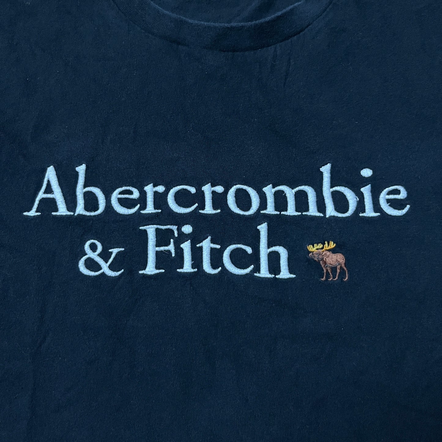 Abercrombie & Fitch Heavy Cotton Spell Out Embroidered T-Shirt