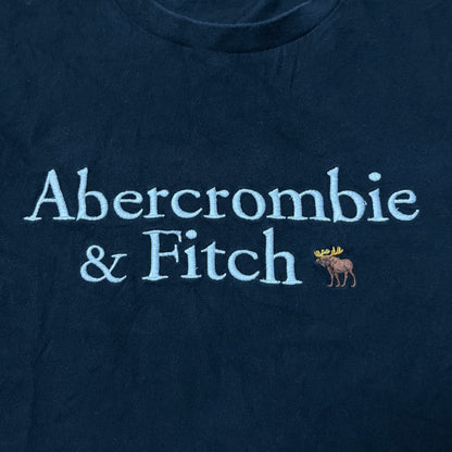 Abercrombie & Fitch Heavy Cotton Spell Out Embroidered T-Shirt