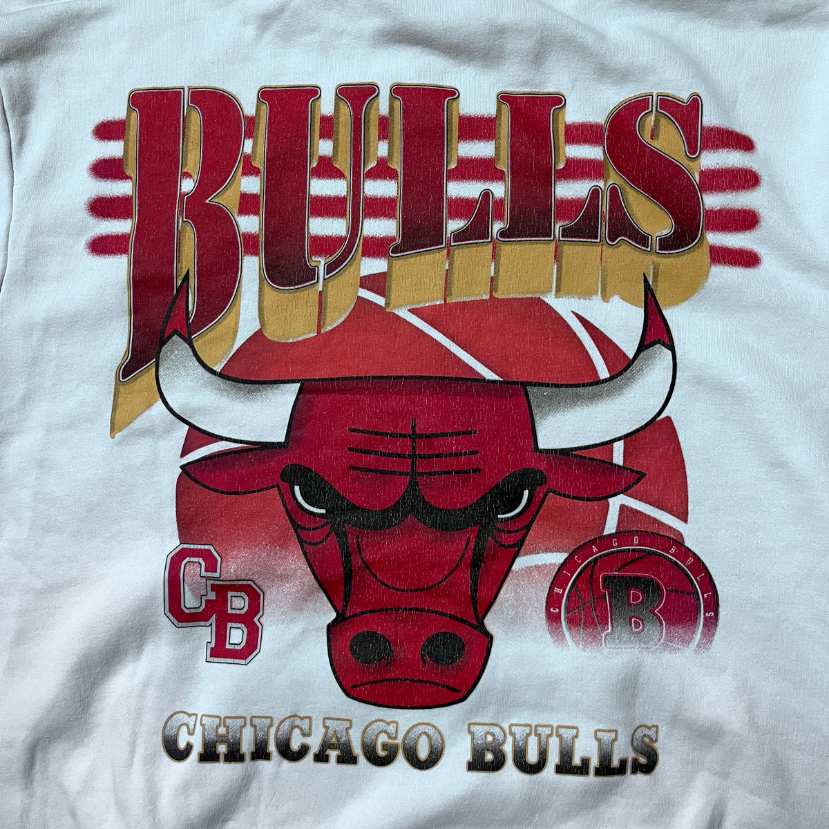 NBA Chicago Bulls Y2K Graphic Hoodie