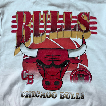 NBA Chicago Bulls Y2K Graphic Hoodie