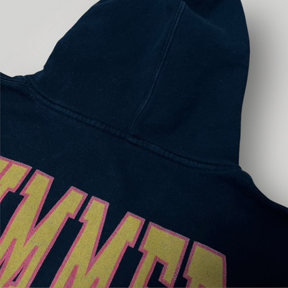 Revenge Drake 2016 Merch "Summer Sixteen" Tour Heavy Cotton Hoodie