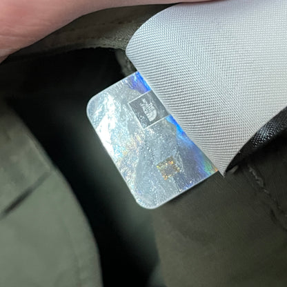 The North Face Shorts