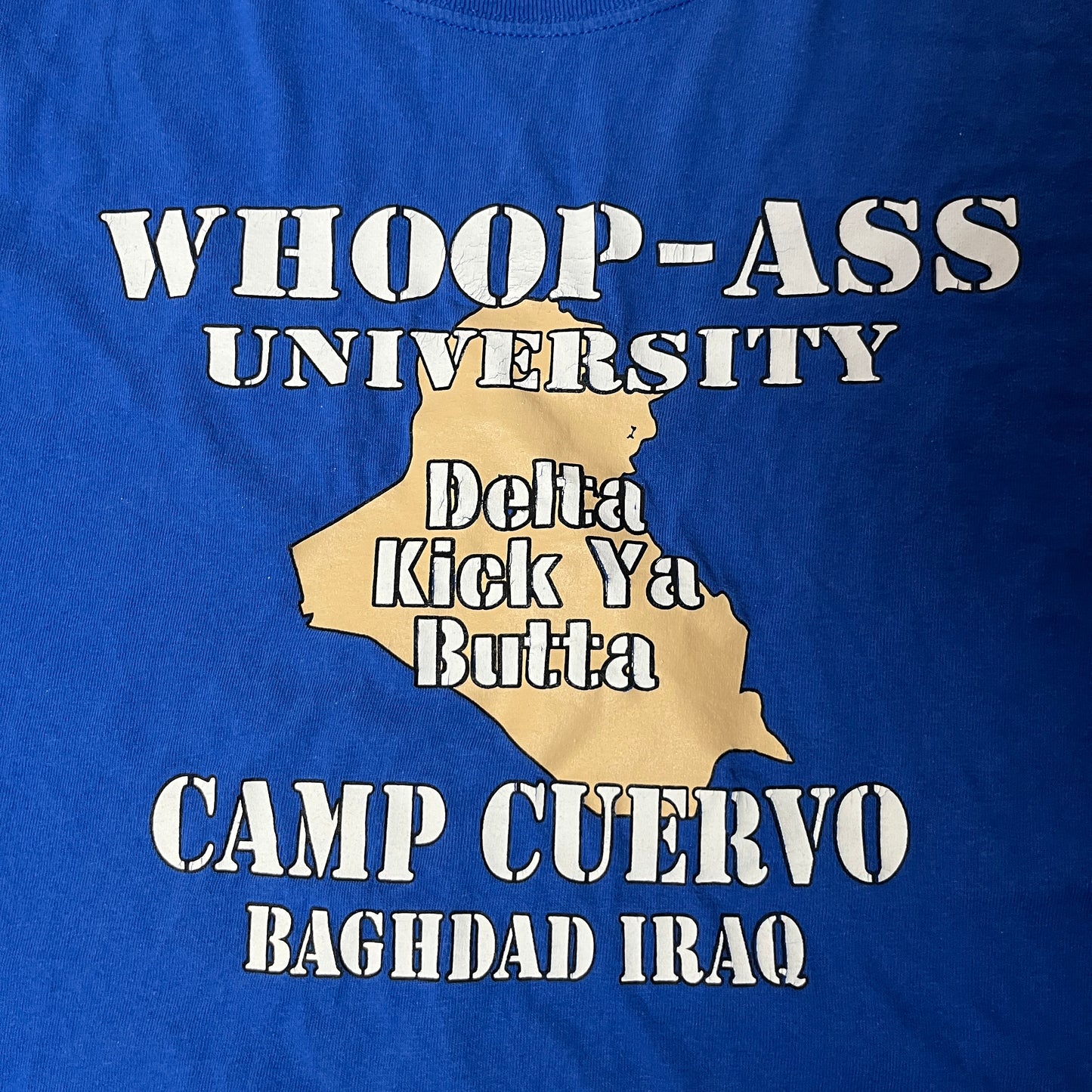 Whoop Ass University Heavy Cotton Graphic Funny T-Shirt