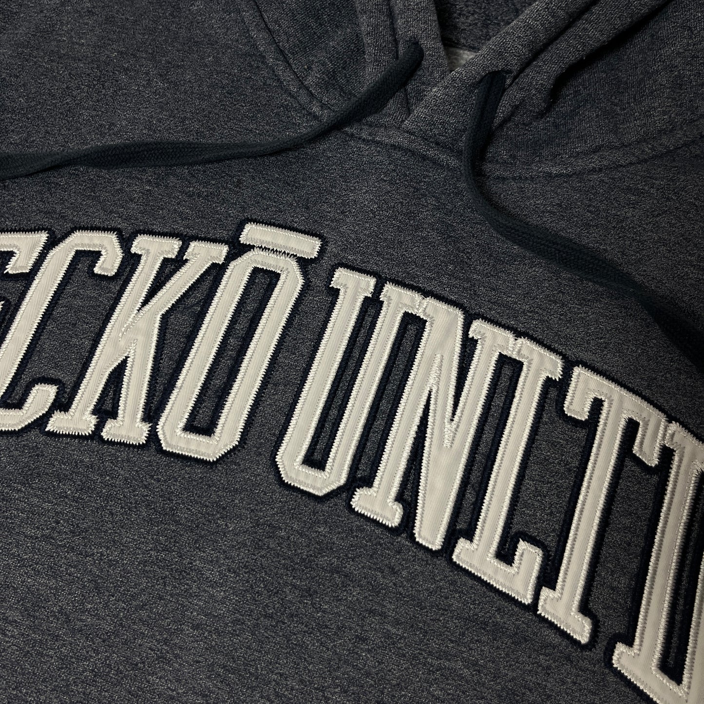 ECKO UNLTD Spell Out Lettered Embroidered Hip-Hop Hoodie