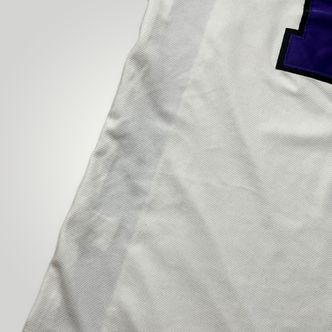 Nike Team "Horizon" Vintage 2000's Y2K Custom Basketball Jersey Tank Top