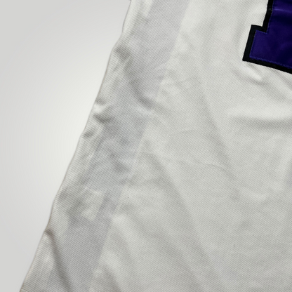 Nike Team "Horizon" Vintage 2000's Y2K Custom Basketball Jersey Tank Top