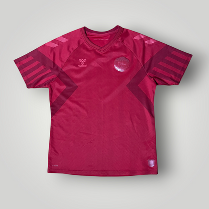 Denmark 2022/2023 World Cup Football Jersey T-Shirt