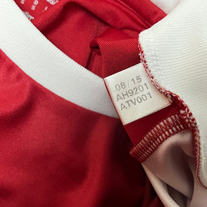 Adidas Denmark 2015/2016 Jersey T-shirt