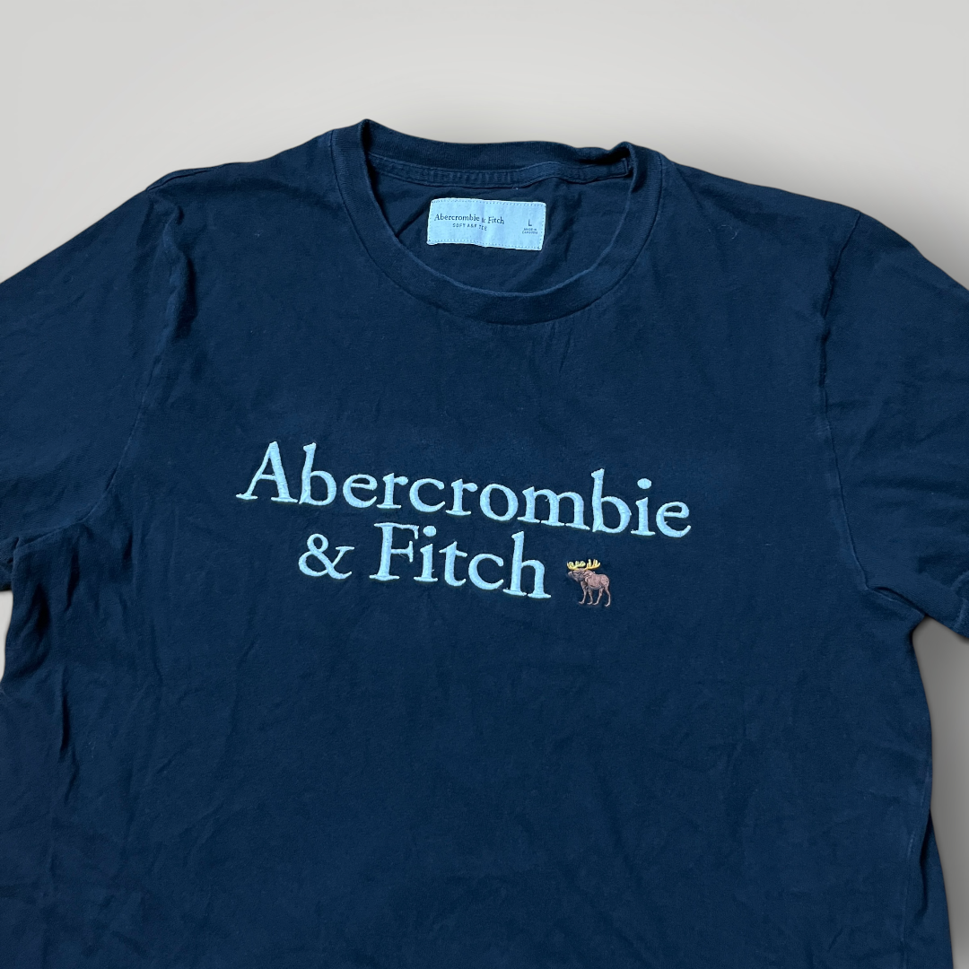 Abercrombie & Fitch Heavy Cotton Spell Out Embroidered T-Shirt
