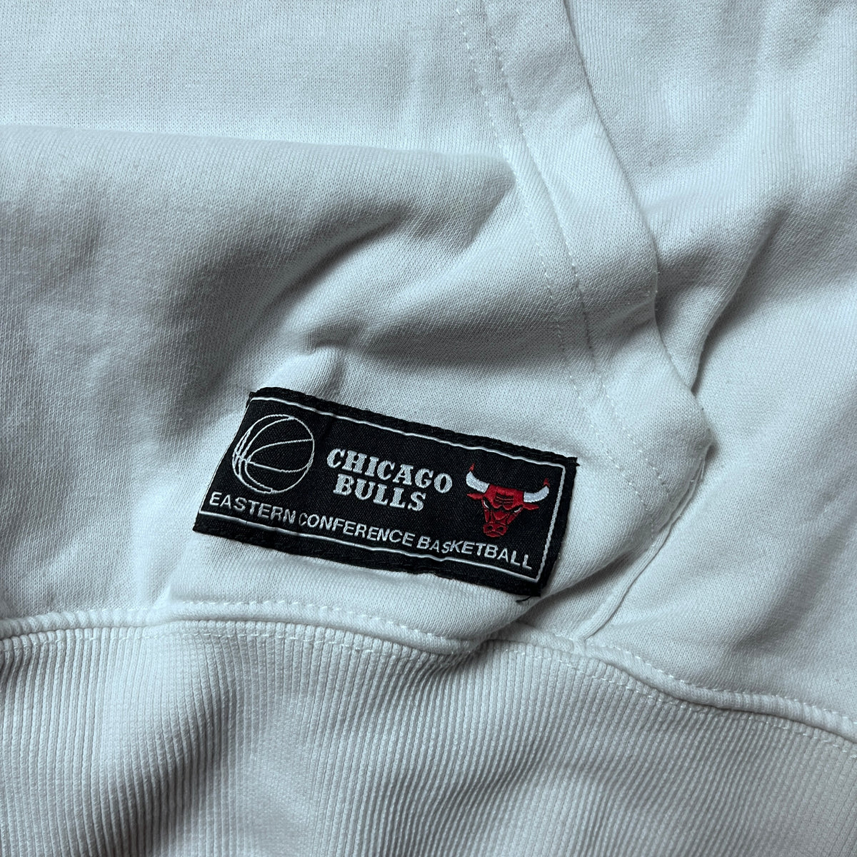 NBA Chicago Bulls Y2K Graphic Hoodie