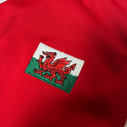 WRU Wales MANAV Rugby Jersey T-Shirt